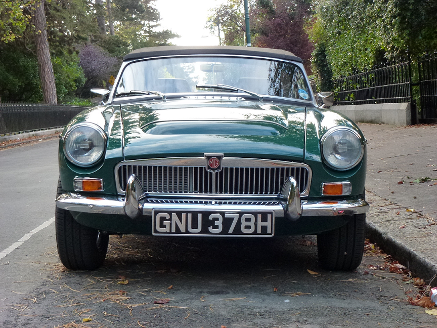 Die Pressed Aluminium Plate (MG)
