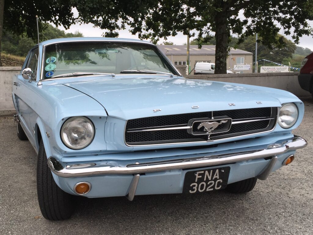 Mustang